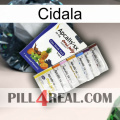 Cidala 11